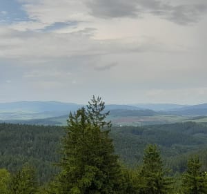 Wokół Chełmca na pętlę Lesistej Wielkiej i Dzikowca - Wałbrzych - 3