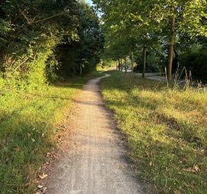 Boucle Habsheim - Rixheim par la piste du canal du Rhône au Rhin - Habsheim - 4