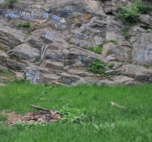 Góra Parkowa Wzgórza Bielawskie - Bielawa - 3