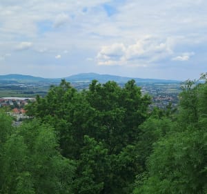 Góra Parkowa Wzgórza Bielawskie - Bielawa - 4