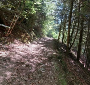 Parcours sportif sur les hauteurs de Rupt sur Moselle - Rupt-sur-Moselle - 3