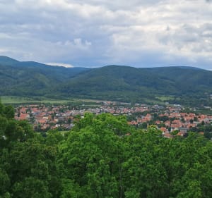 Góra Parkowa Wzgórza Bielawskie - Bielawa - 5
