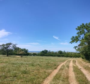 Boqueteaux , plaines et vergers - Wasselonne - 5