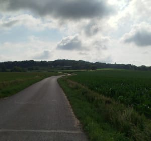Balade à Bavinchove, vers Cassel - Bavinchove - 5
