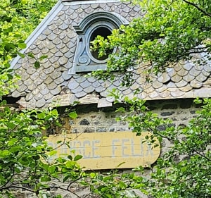 Sentier des sources chaudes et Mont Dore - Mont-Dore - 3