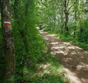 Boucle mixte entre coteaux de Lusignan-Petit, Madaillan, Laugnac - Madaillan - 4