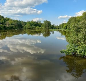 Brzeziny i okolica. - Brzeziny - 4