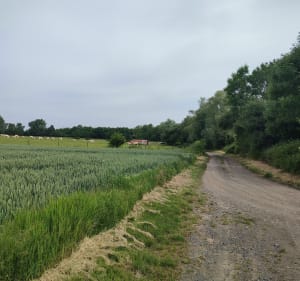 Randonnée Suez - Saultain - 3
