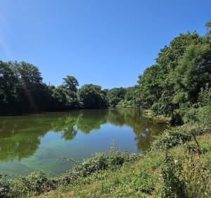 Balade autour des 3 châteaux d'Apremont - Apremont - 4