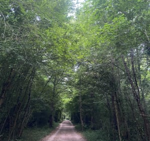 Parcours de santé Sapinière - Laxou - 3