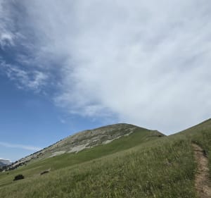 Refuge de la Tour - Col de Jiboui - Mont Barral et Col Menée - Violaine - 5