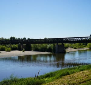 Pouilly dans les vignes au départ du Coq Hardi - Pouilly-sur-Loire - 3