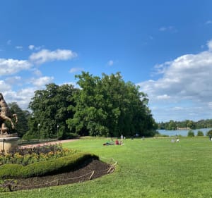 Entre quais du Rhône et Parc de la Tête d’Or - Lyon - 3
