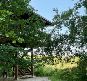 Puszcza Wkrzańska - punkt widokowy - Szczecin - 3