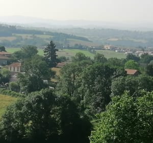 Sainte Agathe en Donzy balades entre champs et forêts - Sainte-Agathe-en-Donzy - 4