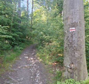 Spacer po kolejną pieczątkę KGP - Jarnołtówek - 3