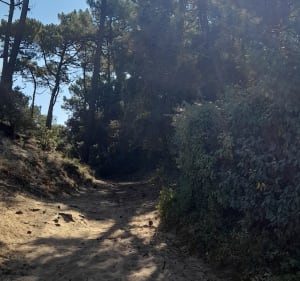 Île d'Oléron - Magali - 3