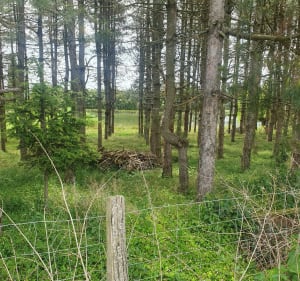 Chemin de barral - Moissieu-sur-Dolon - 4