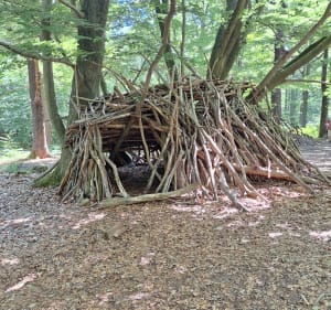 Balade en forêt au départ de Piscop - Piscop - 4