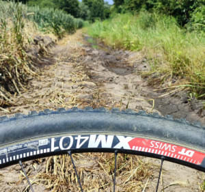 Trening z przyrodą - Oława - 3