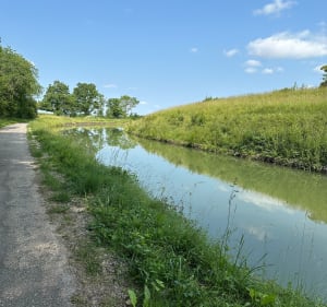 Balade de Marigny-le-Cahouët à St Thibault - Marigny-le-Cahouët - 5