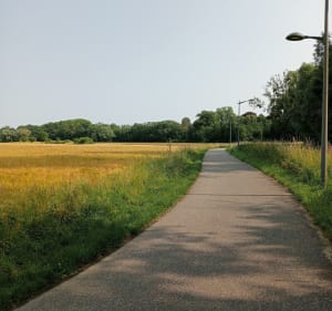Robertsau entre pistes cyclables et forêts - Strasbourg - 3