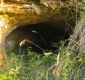 Balade aux ruches et chevaux - Saint-Vérand - 3