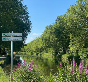 Entre pistes cyclables et jolies petites routes Lorraines - Laneuveville-devant-Nancy - 4