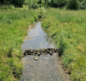 Boucle des Bords de Marne - Lagny-sur-Marne - 3