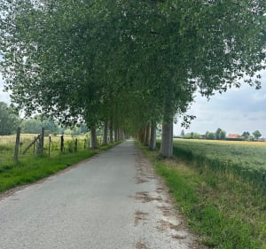 Mi Champs, mi ville. - Wattignies - 3