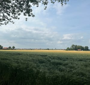 Mi Champs, mi ville. - Wattignies - 4