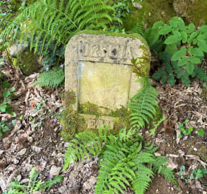Le chemin des  sources Lturbide - BRUNO - 5