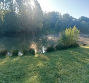 Étang de l'Aubépin et cité de Pérouges - Meximieux - 4
