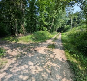 Quelques boucles entre Montrevel et Etrez - Montrevel-en-Bresse - 4