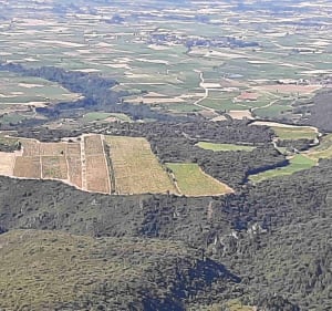 Montée de la côte d'Arboras au pic Saint-Baudille - Saint-Saturnin-de-Lucian - 3