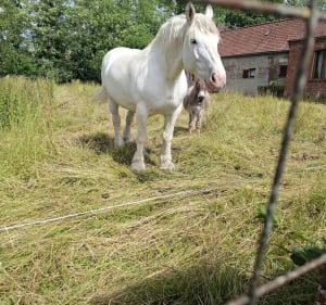 Rando de Cuvigny - Rebreuve-Ranchicourt - 3