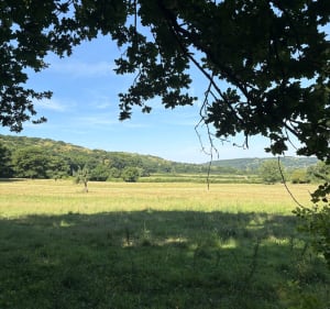 Balade dans la forêt de Meridon - Saint-Rémy-lès-Chevreuse - 3