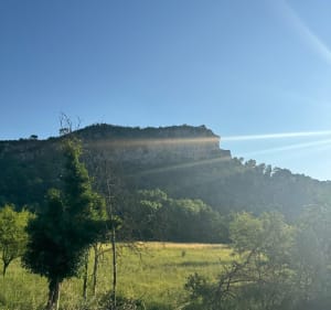 Autour du lac de Carcès - Gonfaron - 3