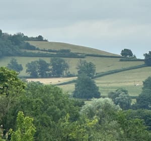 Entre château et collégiale depuis Trévilly - Guillon-Terre-Plaine - 3