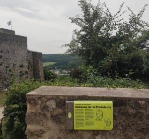 Haute vallée de Chevreuse, 4 châteaux et un petit moulin. - Le Mesnil-Saint-Denis - 4