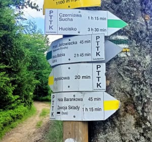 Trasa na Mędralową - Koszarawa - 4