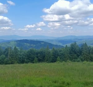 Trasa na Mędralową - Koszarawa - 5