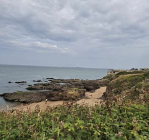 Belle promenade côtière à Pornichet - Pornichet - 3