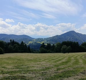 Szczawnica-Palenica-Szafranówka-Schronisko ORLICA - Szczawnica - 4