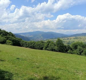 Szczawnica-Palenica-Szafranówka-Schronisko ORLICA - Szczawnica - 5