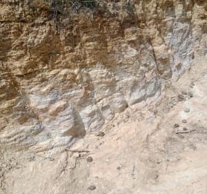 Dalle des Ammonites depuis le Géoparc - Digne-les-Bains - 3