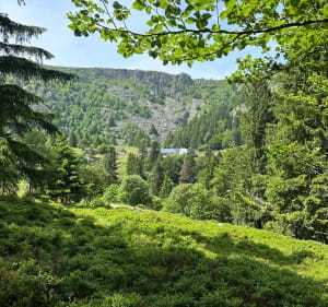 Les 4 lacs : Du lac blanc jusqu’au Hirschsteine - Orbey - 5