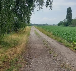Randonnée autour du Hoerdt - Hœrdt - 4