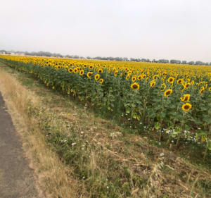 Tour de Niort - Chauray - 3