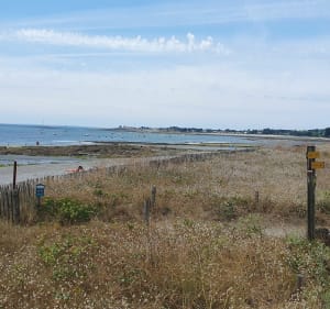 Suscinio entre plage, marais et château - Sarzeau - 4